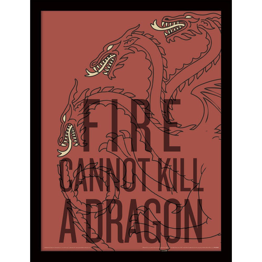GAME OF THRONES ゲーム・オブ・スローンズ - Fire Cannot Kill The Dragon / インテリア額 - PGS